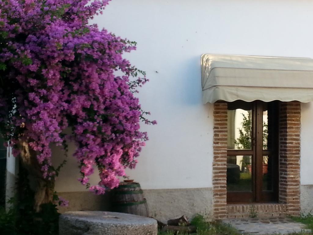 Agriturismo Malena Amica Dış mekan fotoğraf